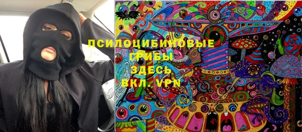 стаф Кинешма