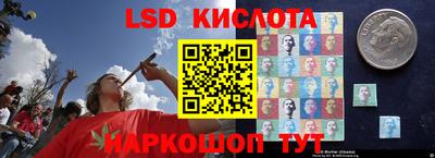 амф Лесной