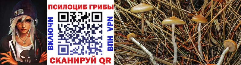 OMG ССЫЛКА  Кировск  Псилоцибиновые грибы мицелий 