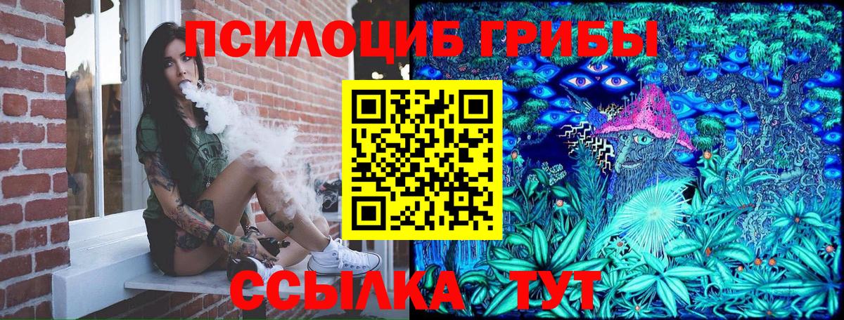 Псилоцибиновые грибы мицелий Кировск