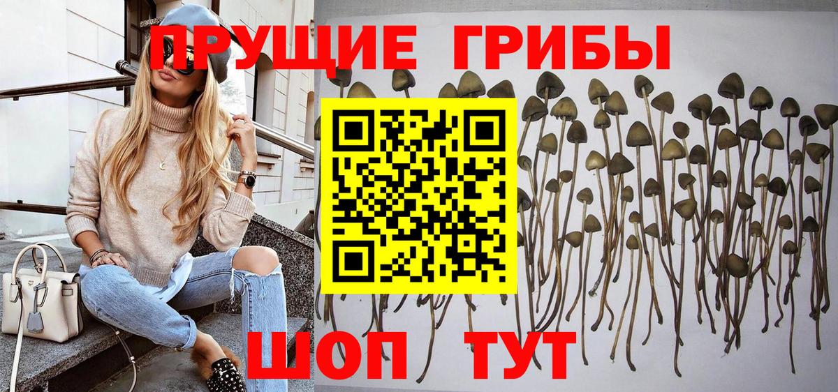 Кировск  Галлюциногенные грибы мухоморы  Вход с VPN  Галлюциногенные грибы прущие грибы 